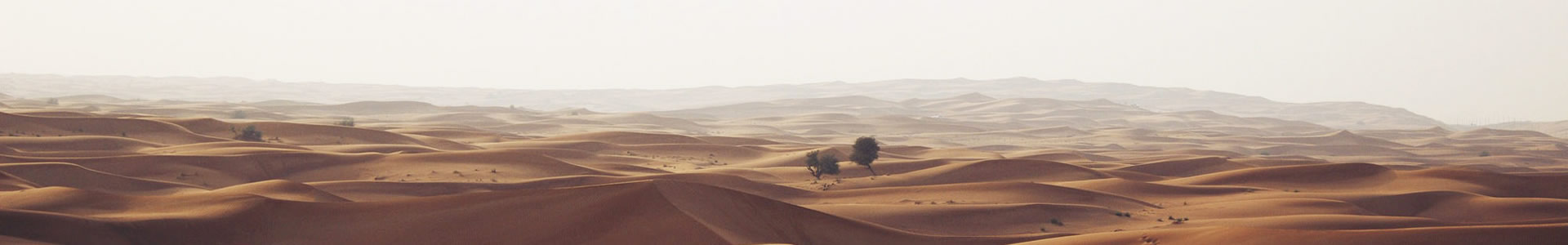 ݺܽ޹˾